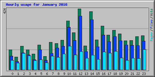 Hourly usage for January 2016
